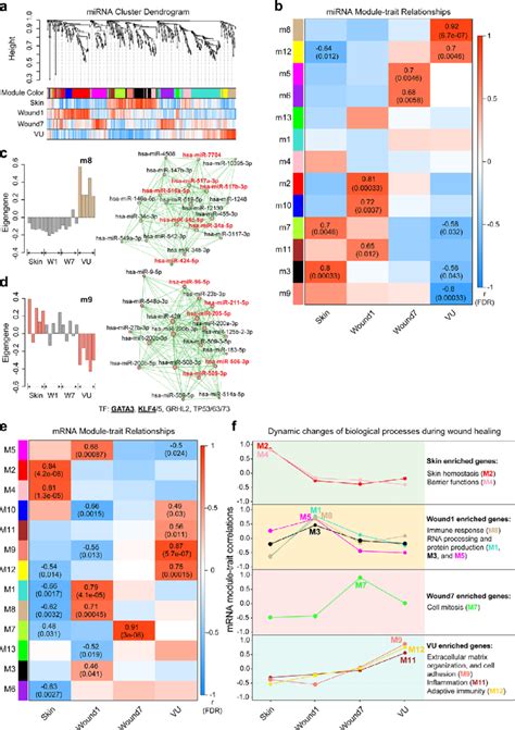 Weighted Gene Coexpression Network Analysis Wgcna Of Mirnas And Mrnas