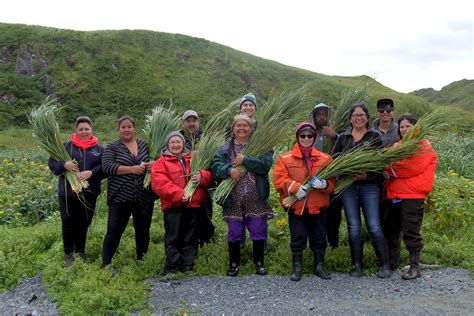 Ak After 75 Years A Bittersweet Homecoming For Attu Descendants