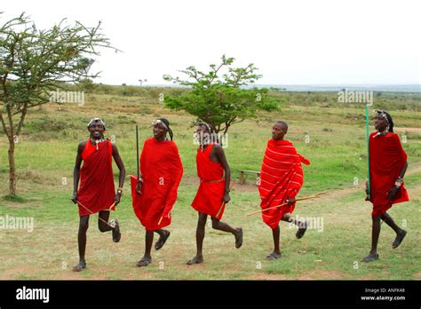 Maasai Warriors Perform Welcome Dance Masai Mara Tribal Village Kenya