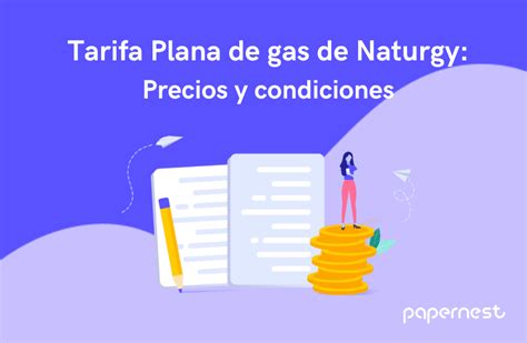 Tarifa Plana Gas Naturgy 2023 Precios Y Condiciones