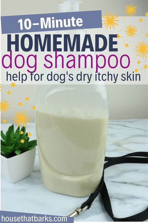 10 Minute Oatmeal Dog Shampoo For Dry Itchy Skin Recipe In 2021