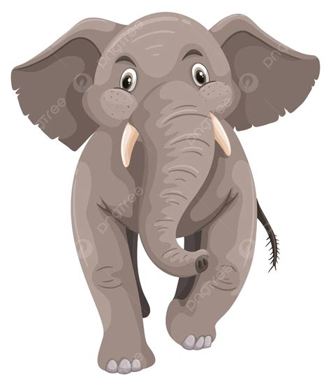 Bebé Elefante Con Piel Gris Criatura Elefante Recorte Vector Png