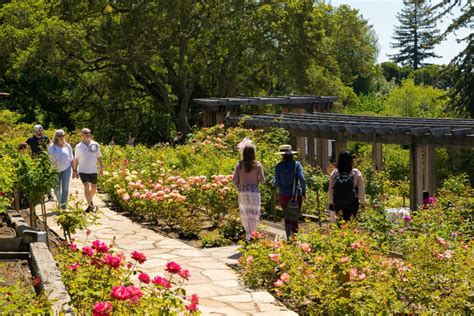 Berkeley Rose Garden - PGAdesign