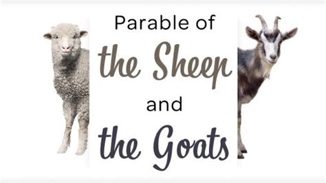 The Parable Of The Sheep And The Goats – Gratia Community Church