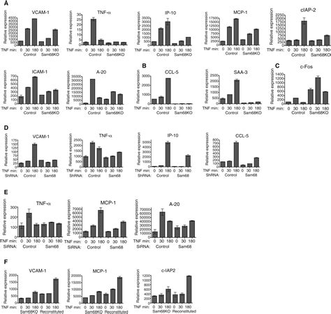 Sam68 Is Required For Both Nf κb Activation And Apoptosis Signaling By