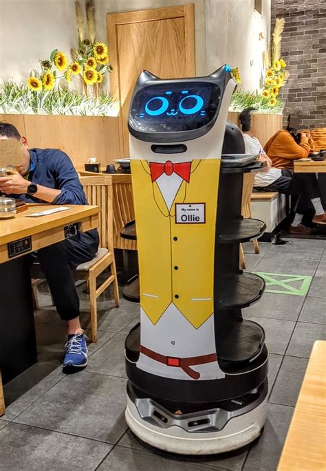 Ollie The Robot Waiter Serves You At Dae Jang Kum Korean Restaurant