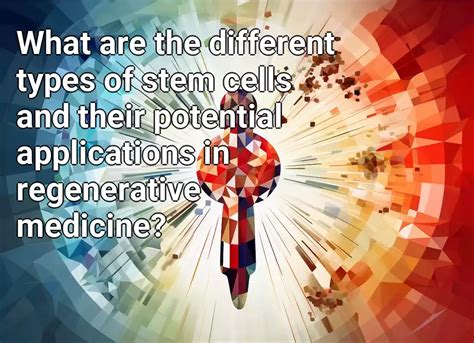 What Are The Different Types Of Stem Cells And Their Potential