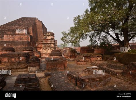 The Ancient Buddhist University At Nalanda Stock Photo Alamy