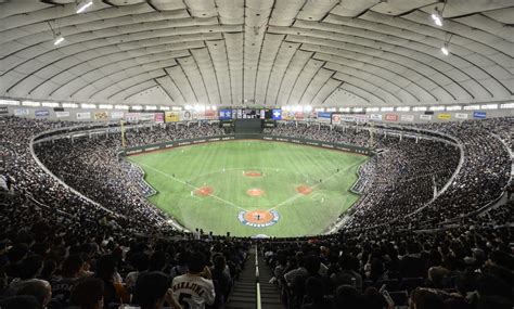 2024 WBSC十二強門票日本熱賣首周賣出超過兩成 World Baseball Softball Confederation