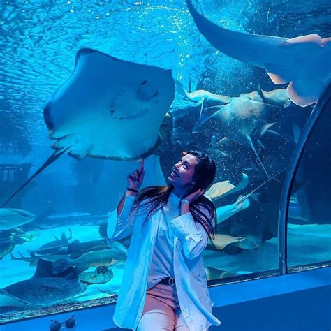 Ausflug Zum Antalya Aquarium Tunnel Aquarium Online Buchen