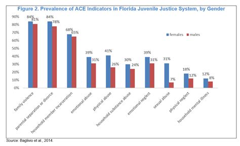 Literature Review Girls In The Juvenile Justice System Office Of