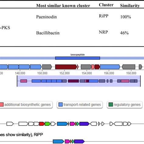 Carbohydrate Active Enzymes Cazymes Related Genes Of Strain S