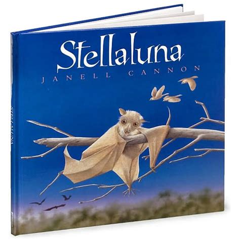 Stellaluna Owl