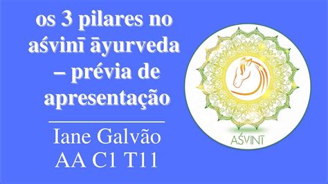 Três Pilares Do Ayurveda Para Apresentação Em Faculdade De Nutrição