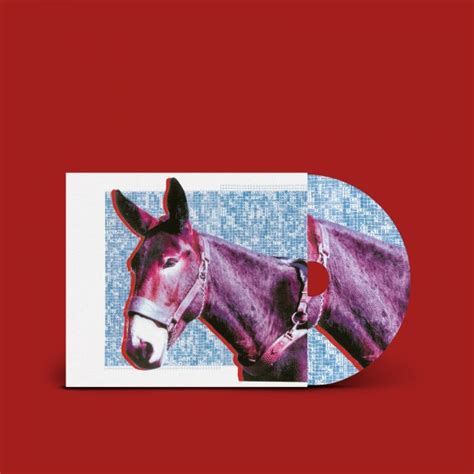 Protomartyr - Ultimate Success Today (CD) | Domino Mart - Domino