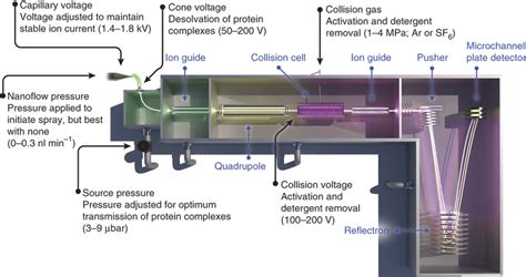 Schematic Of A Q TOF Mass Spectrometer Used For Mass Measurements Of