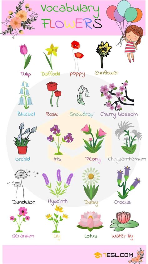 Flower Names In English Picture All Flowers Name Flowers Name In