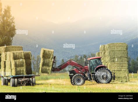 Camion De Pacas De Paja Fotograf As E Im Genes De Alta Resoluci N Alamy