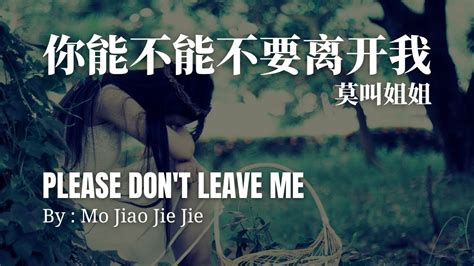 莫叫姐姐 你能不能不要离开我 Mo Jiao Jie Jie Please Don t Leave Me 歌词 Lyrics