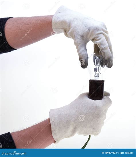 Hands Holding Light Bulb Isolated On White Stock Photo Image Of Light