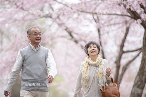 桜の中を歩くシニア夫婦 写真素材 5914544 フォトライブラリー Photolibrary