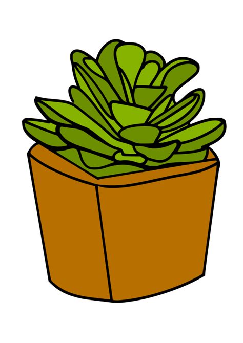 Succulent Svg Cactus Svg Plant Svg Graphic By Chonnieartwork