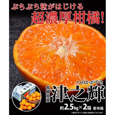 Ja長崎せいひ『津之輝（つのかがやき）』長崎県産柑橘 2s〜l 約25kg×2箱 産地箱 風袋込 ※常温 送料無料 203a11075