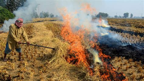 Cat Is Out Of The Bag Sc On Data Saying Stubble Burning Accounts For