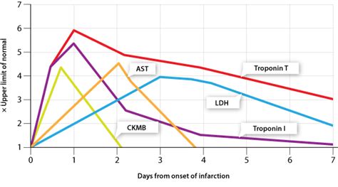 The Role Of Troponin Testing In Primary Care Best Tests December 2009