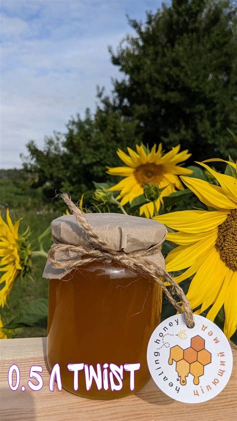 Honey Sun Flower Sunflower - Free photo on Pixabay - Pixabay