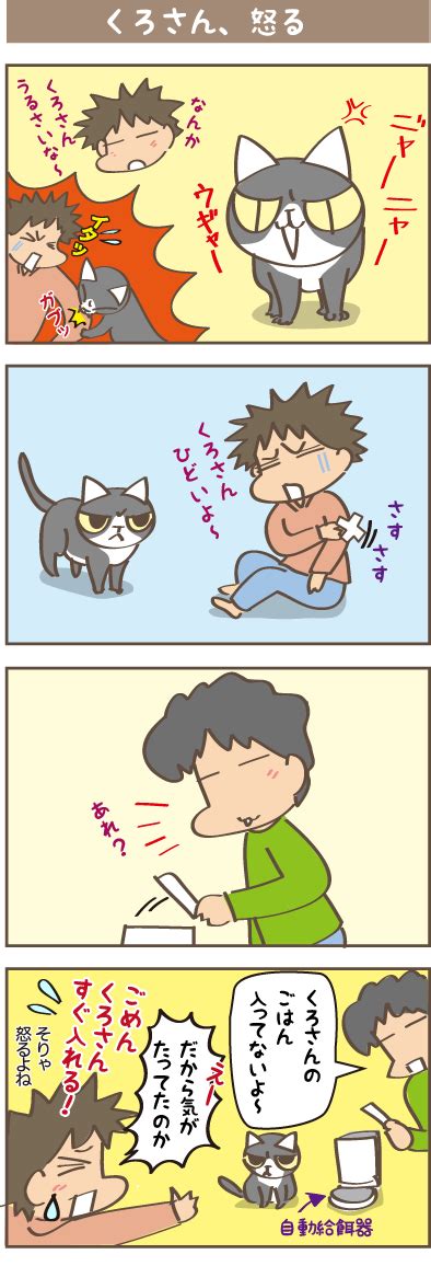 くろさん、怒る しまえもんの日々