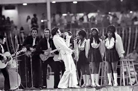 Elvis Presley Concert Concerts