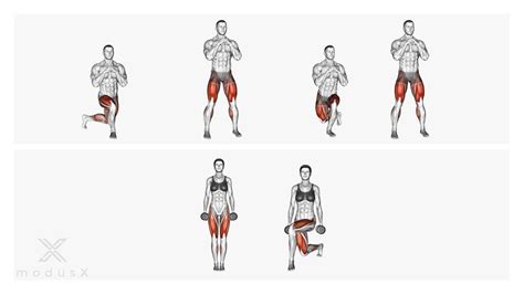 Cross Lunges Position Ausf Hrung Muskeln Und Tipps Modusx