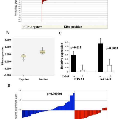 T Bet Gata And Foxa Expression In Primary Breast Cancer A