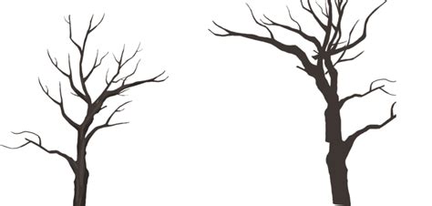 Arbol De Invierno Png Vectores Psd E Clipart Para Descarga Gratuita Images