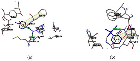 Molecules Free Full Text Conformational Properties And Putative