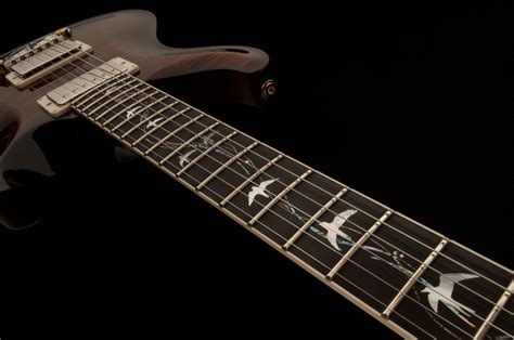 Prs Guitars The Story 30th Anniversary “vine” Guitars