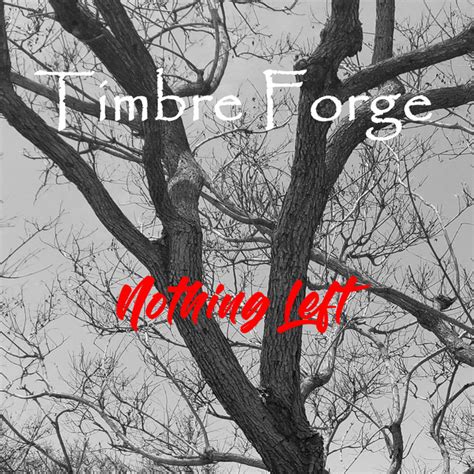 Nothing Left Single By Timbre Forge Spotify