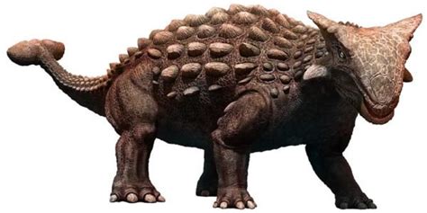 9 Massive Dinosaurs With Spikes And Armor A Z Animals