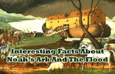 Interesting Facts About Noah S Ark And The Flood Https Onlyonehope