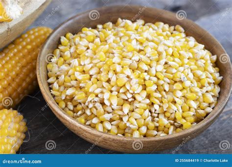 Popcorn Kernels in a Bowl stock image. Image of kernels - 255684419 