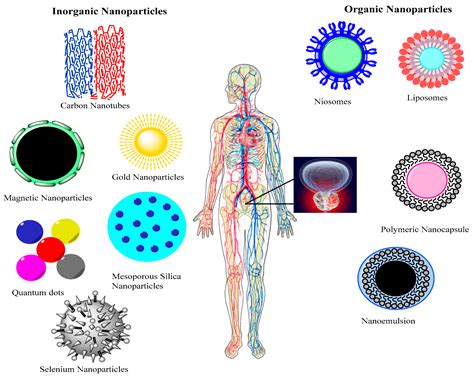 Nanomaterials Free Full Text Nanotreatment And Nanodiagnosis Of