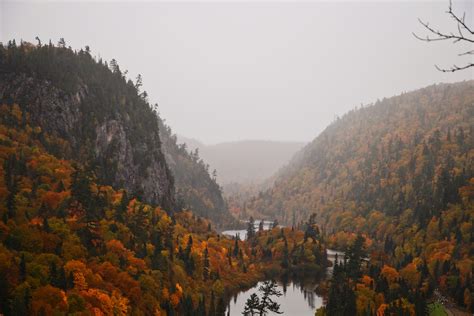 More Fall Colours Of Northern Ontario During A Foggy Day Oc Rcanada