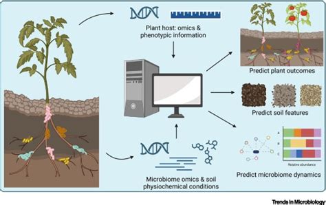 Engineering Agricultural Soil Microbiomes And Predicting Plant