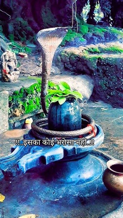 💐🌿उम्मीद और भरोसा खुद से रखो 🌿🔱🕉️mahadevstatussambhubabashivji