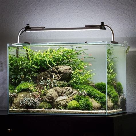 The Best Nature Aquascape Nano Aquarium Aquascape Aquarium Aquarium