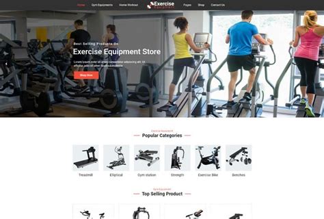 Gym Exercise Equipment Store Wordpress Theme | No equipment workout, Gym exercise equipment, Gym ...