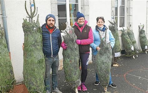 Plouray La Vente De Sapins De Saint Louis A Tr S Bien Fonctionn