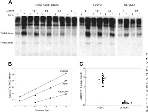 Figure 1 from An IAP retrotransposon in the mouse ADAMTS13 gene creates ADAMTS13 variant ...