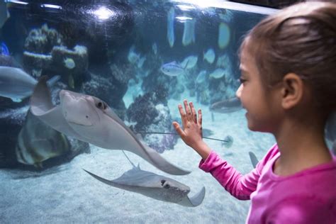 Sea Life Berlin Tickets Getyourguide